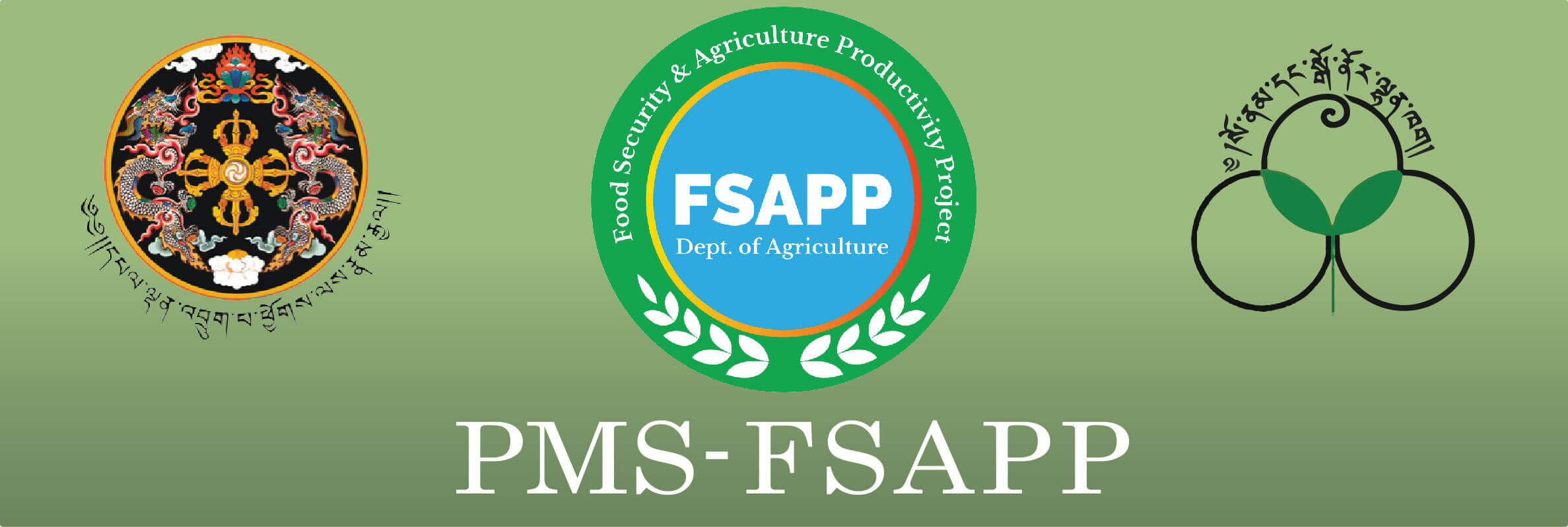 PMS-FSAPP